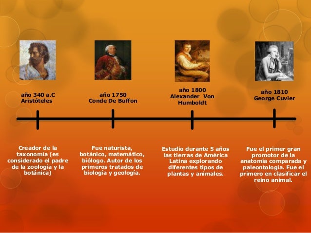 Linea de tiempo ecologia