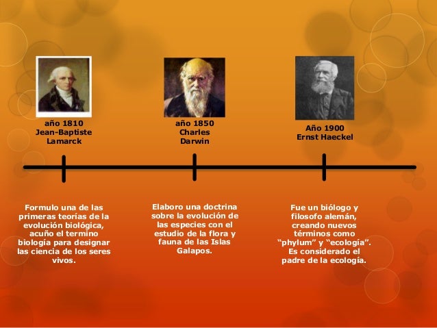 Linea de tiempo ecologia
