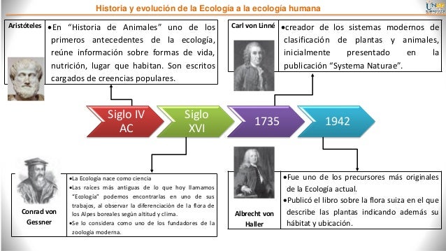 Linea de tiempo ecologia humana johan enciso grupo 156