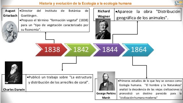 Linea de tiempo ecologia humana johan enciso grupo 156