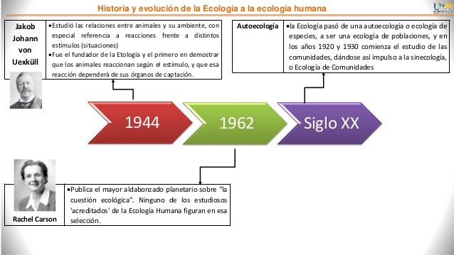 Historia Del Siglo Xx 1914 1991 Serie Mayor Cri Libro Gratis