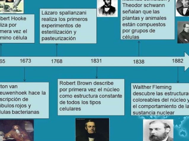 Linea de tiempo teoría celular. | PPT