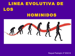 LINEA EVOLUTIVA DE LOS   HOMINIDOS Raquel Pedrejón 4º ESO B 