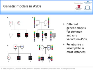 New Study Identifies High-Risk Variants Associated with Autism Spectrum ...
