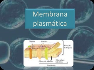 Membrana
plasmática
 