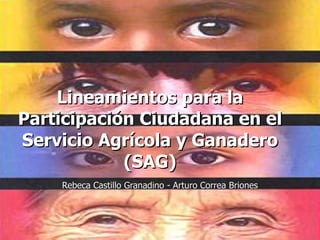 Lineamientos para la Participación Ciudadana en el Servicio Agrícola y Ganadero (SAG) Rebeca Castillo Granadino - Arturo Correa Briones 