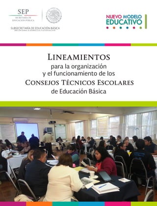 SUBSECRETARÍA DE EDUCACIÓN BÁSICA
DIRECCIÓN GENERAL DE DESARROLLO DE LA GESTIÓN EDUCATIVA
Lineamientos
para la organización
y el funcionamiento de los
Consejos Técnicos Escolares
de Educación Básica
 