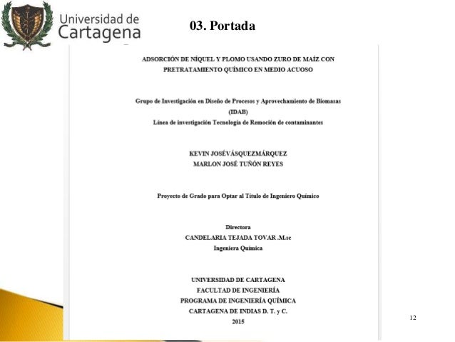 Lineamientos Trabajo De Grado En Ingenieria Quimica