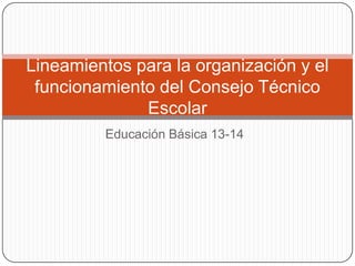 Educación Básica 13-14
Lineamientos para la organización y el
funcionamiento del Consejo Técnico
Escolar
 