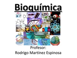 Bioquímica Profesor: Rodrigo Martínez Espinosa 