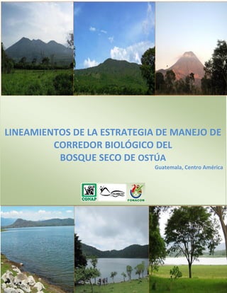 LINEAMIENTOS DE LA ESTRATEGIA DE MANEJO DE
CORREDOR BIOLÓGICO DEL
BOSQUE SECO DE OSTÚA
Guatemala, Centro América

 