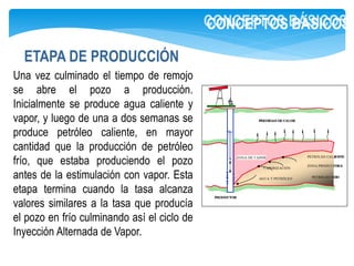 ETAPA DE PRODUCCIÓN
CONCEPTOS BÁSICOS
Una vez culminado el tiempo de remojo
se abre el pozo a producción.
Inicialmente se produce agua caliente y
vapor, y luego de una a dos semanas se
produce petróleo caliente, en mayor
cantidad que la producción de petróleo
frío, que estaba produciendo el pozo
antes de la estimulación con vapor. Esta
etapa termina cuando la tasa alcanza
valores similares a la tasa que producía
el pozo en frío culminando así el ciclo de
Inyección Alternada de Vapor.
 