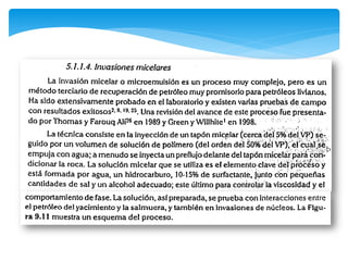 Lineamientos generales sobre simulacion 2