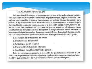 Lineamientos generales sobre simulacion 2