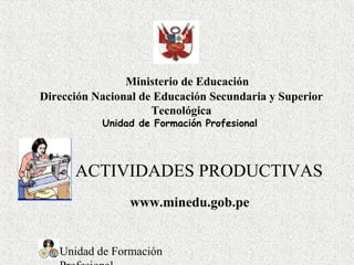 Unidad de Formación
ACTIVIDADES PRODUCTIVAS
Ministerio de Educación
Dirección Nacional de Educación Secundaria y Superior
Tecnológica
Unidad de Formación Profesional
www.minedu.gob.pe
 
