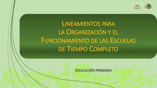 LINEAMIENTOS PARA
LA ORGANIZACIÓN Y EL
FUNCIONAMIENTO DE LAS ESCUELAS
DE TIEMPO COMPLETO
EDUCACIÓN PRIMARIA
 