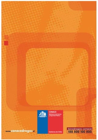 Ministerio del Interior
y Seguridad Pública
 