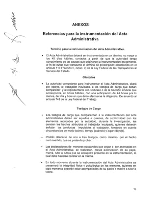 Lineamientos violencia