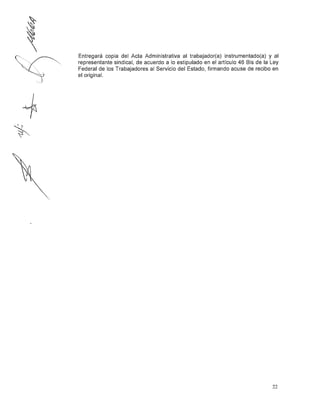 Lineamientos violencia