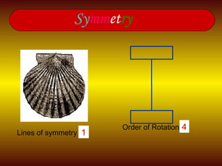 Sy mm et ry Order of Rotation 2 4 Lines of symmetry   2 1 