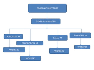 `BOARD OF DIRECTORS
GENERAL MANAGER
PURCHASE M
PRODUCTION M
SALES M
FINANCIAL M
WORKERS
WORKERS
WORKERS
WORKERS
 