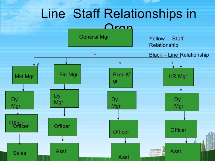 Line And Staff Chart