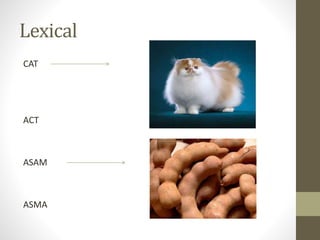 Lexical
CAT
ACT
ASAM
ASMA
 