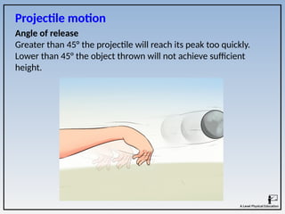 Angle of release
Greater than 45° the projectile will reach its peak too quickly.
Lower than 45° the object thrown will not achieve sufficient
height.
Projectile motion
 