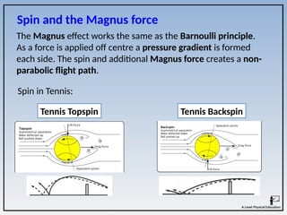 The Magnus effect works the same as the Barnoulli principle.
As a force is applied off centre a pressure gradient is formed
each side. The spin and additional Magnus force creates a non-
parabolic flight path.
Spin and the Magnus force
Tennis Topspin Tennis Backspin
Spin in Tennis:
 