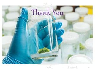 Thank You
14
 