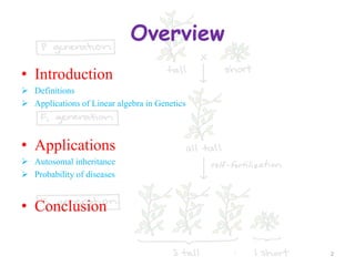 Overview
• Introduction
 Definitions
 Applications of Linear algebra in Genetics
• Applications
 Autosomal inheritance
 Probability of diseases
• Conclusion
2
 