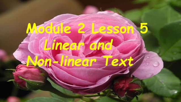 Linear and nonlinear text | PPTX