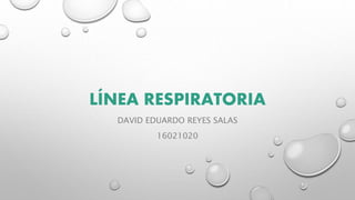 LÍNEA RESPIRATORIA
DAVID EDUARDO REYES SALAS
16021020
 