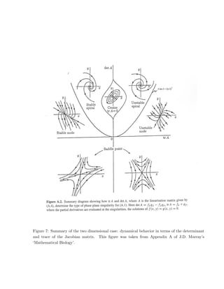 Figure 7: Summary of the two dimensional case: dynamical behavior in terms of the determinant
and trace of the Jacobian matrix. This figure was taken from Appendix A of J.D. Murray’s
‘Mathematical Biology’.
 