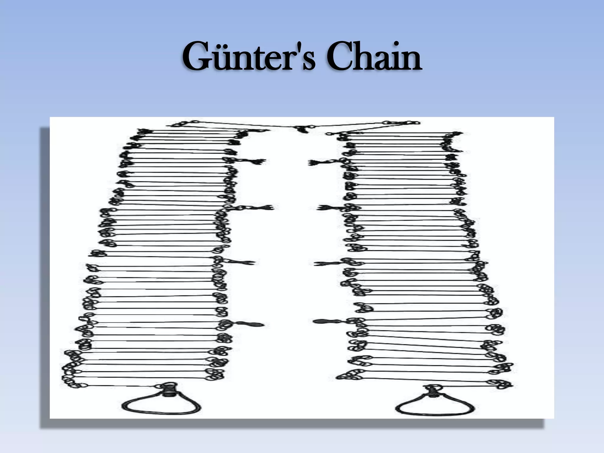 Günter's Chain
 