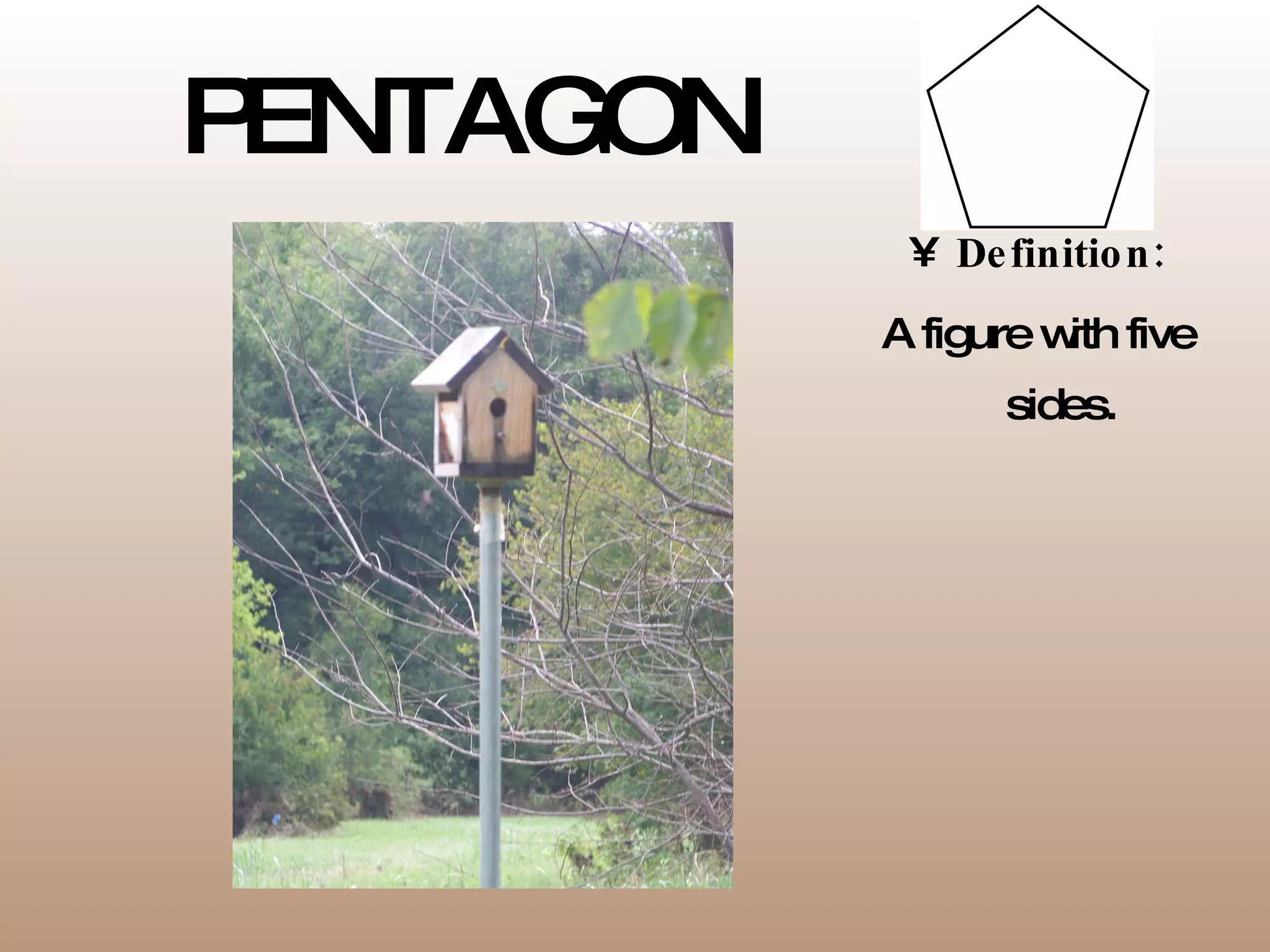 PENTAGON Definition: A figure with five sides. 