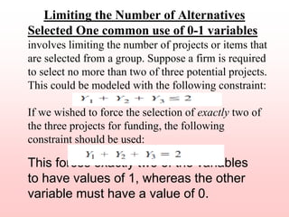 Linear Programming Applications presentation Rania.ppt