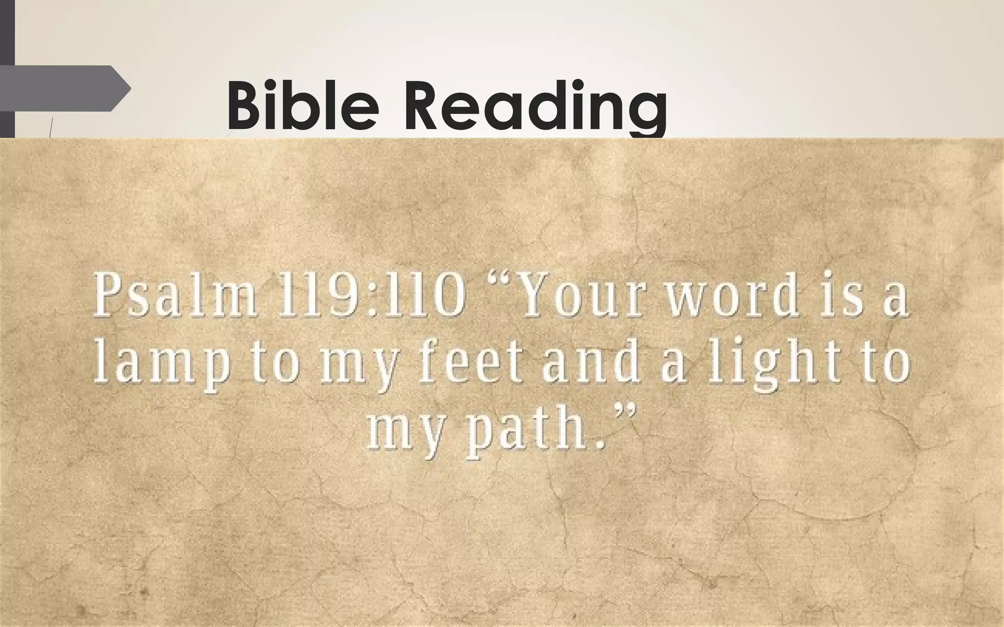 Bible Reading
 