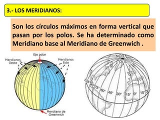3.- LOS MERIDIANOS:
Son los círculos máximos en forma vertical que
pasan por los polos. Se ha determinado como
Meridiano base al Meridiano de Greenwich .
 