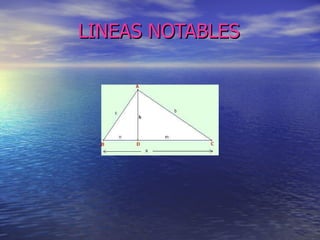 LINEAS NOTABLES 