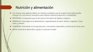 Nutrición y alimentación
 Las raciones para gallinas deben ser mezclas completas que en proporciones balanceadas
incluyan los nutrimentos necesarios para obtener óptima producción y rentabilidad
 PROTEÍNAS: Compuestos que sirven para la formación de tejidos y órganos
 MINERALES: Esenciales en la alimentación, especialmente el calcio, fósforo, magnesio. Cloro,
sodio y potasio.
 VITAMINAS: Intervienen en la reproducción, crecimiento, desarrollo y conservación de las aves
 AGUA: Estimula el desarrollo y ayuda a conservar la salud
 
