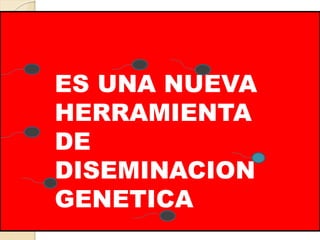 ES UNA NUEVA 
HERRAMIENTA 
DE 
DISEMINACION 
GENETICA 
 