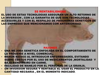 $$ RENTABILIDAD$$ 
EL USO DE ESTAS TECNOLOGIAS ASEGURAN UN ALTO RETORNO DE 
LA INVERSION , CON LA GARANTIA DE QUE SON TECNOLOGIAS 
ACCEQUIBLES Y CON EL RESPALDO DE PROGRAMAS GENETICOS DE 
LAS EMPRESAS QUE MENCIONAMOS CON ANTERIORIDAD. 
RAZONES 
• UNA MEJORA GENETICA ENFOCADA EN EL COMPORTAMIENTO DE 
LA PROGENIE A NIVEL COMERCIAL. 
• MENOR RIESGO AL INTRODUCIR ENFERMEDADES, EVITANDO 
SOBRE COSTOS POR EL USO DE MEDICAMENTOS ,MORTALIDAD Y 
BAJO RENDIMEIRO EN CARNE. 
• FACILIDAD DE MANEJO POR EL PERSONAL DE LA GRANJA. 
• UN INVERSION SEGURA Y RENTABLE AL USAR EL PRODUCTO EN LA 
CANTIDAD NECSARIA , EN EL MOMENTO INDICADO. 
 