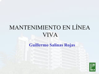 MANTENIMIENTO EN LÍNEA
VIVA
Guillermo Salinas Rojas
 