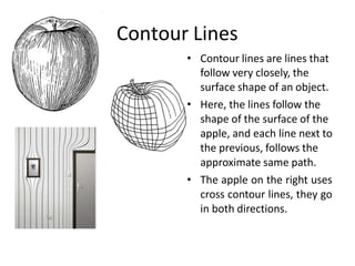 Contour Lines
• Contour lines are lines that
follow very closely, the
surface shape of an object.
• Here, the lines follow the
shape of the surface of the
apple, and each line next to
the previous, follows the
approximate same path.
• The apple on the right uses
cross contour lines, they go
in both directions.
 