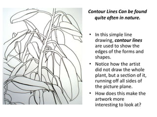 Contour Lines Can be found
quite often in nature.
• In this simple line
drawing, contour lines
are used to show the
edges of the forms and
shapes.
Notice how the artist
did not draw the whole
plant, but a section of it,
running off all sides of
the picture plane.
How does this make the
artwork more
interesting to look at?
•
•
 
