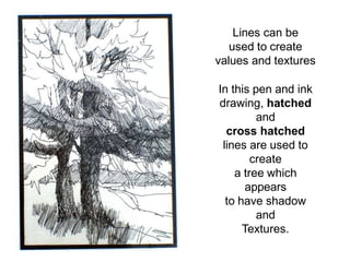 Lines can be
used to create
values and textures
In this pen and ink
drawing, hatched
and
cross hatched
lines are used to
create
a tree which
appears
to have shadow
and
Textures.
 