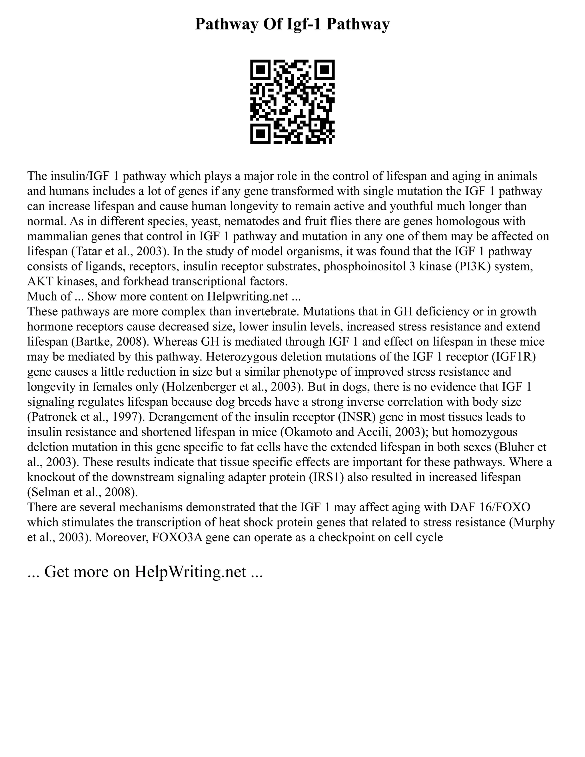 Lined Paper Printable Landscape Printable Word S PDF Lined Paper Printable Landscape Printable Word S PDF