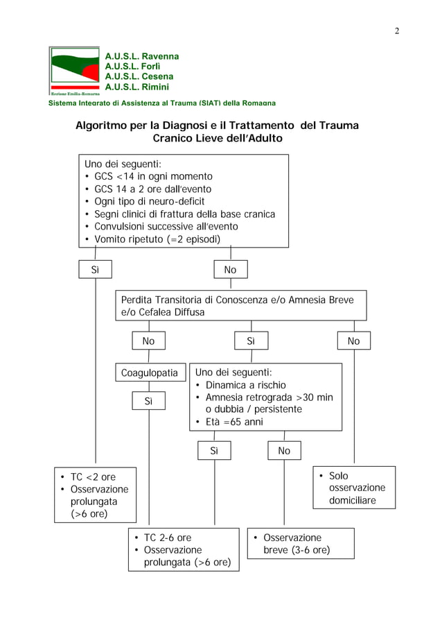 Linee guida per la diagnosi e il trattamento del trauma cranico lieve ...