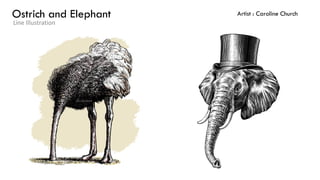 Ostrich and Elephant
Line Illustration
Artist : Caroline Church
 